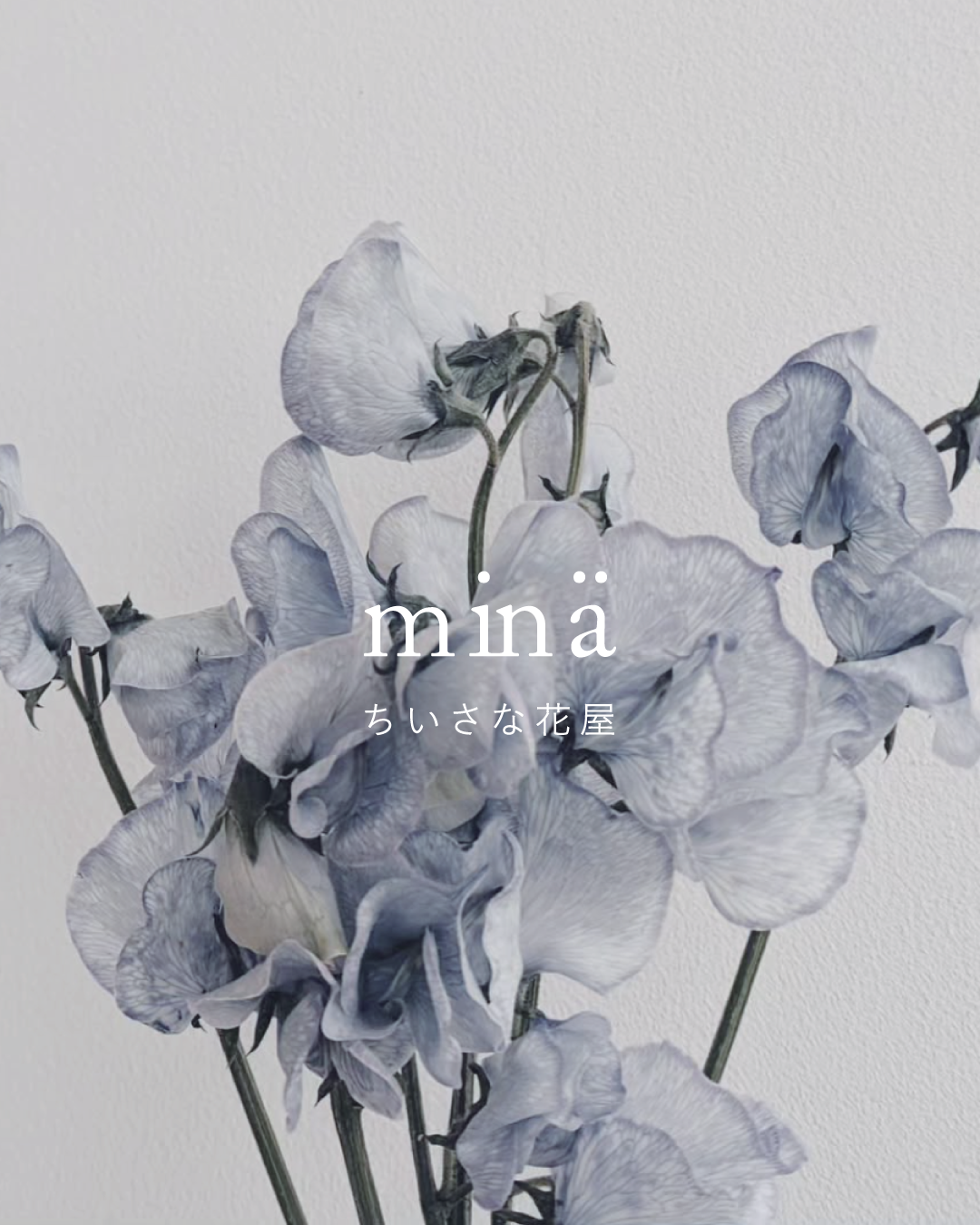 花屋 ロゴマークデザイン 愛知 安城 三河