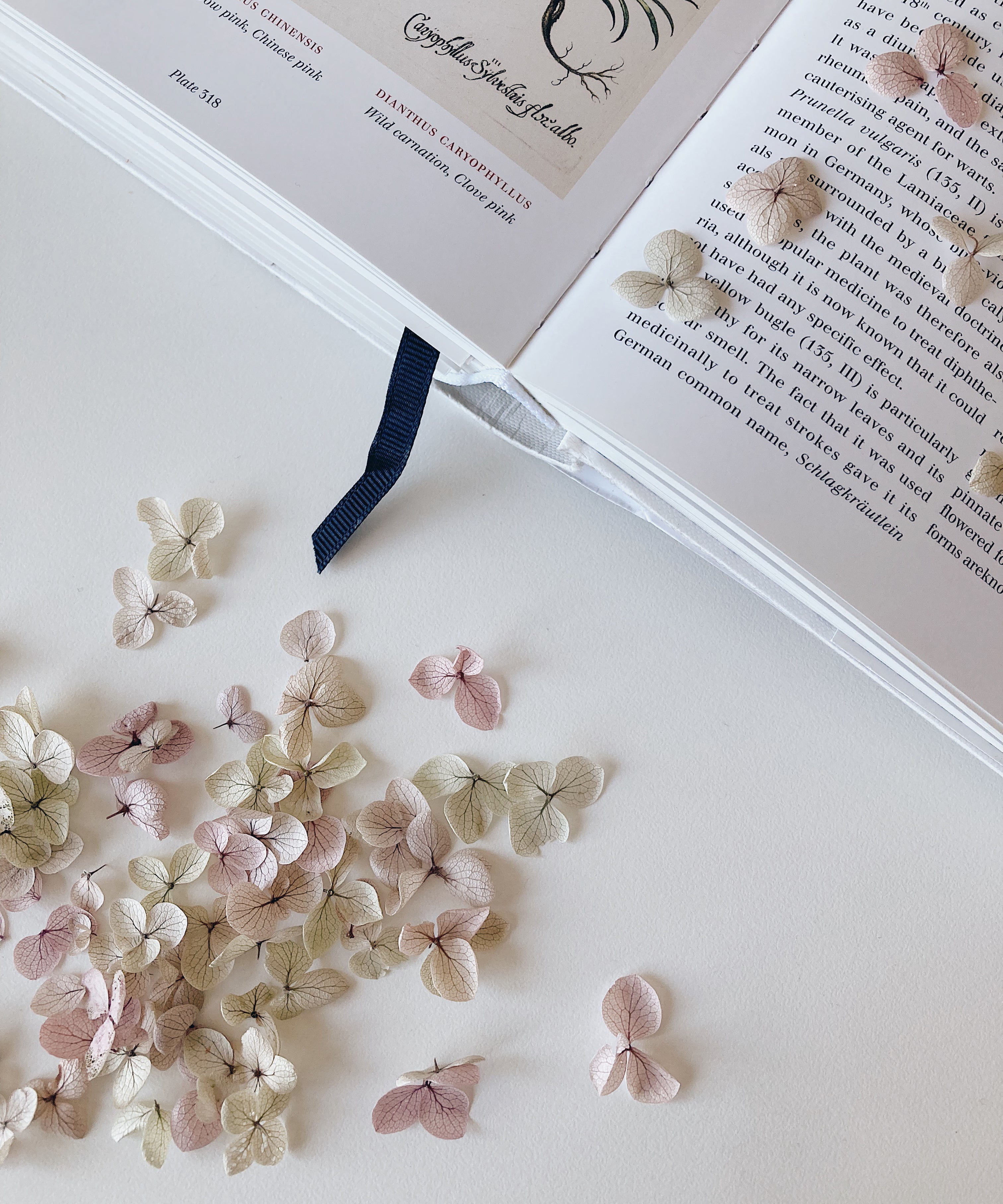 MORETREESさんへ寄付のご報告 VOL. 9