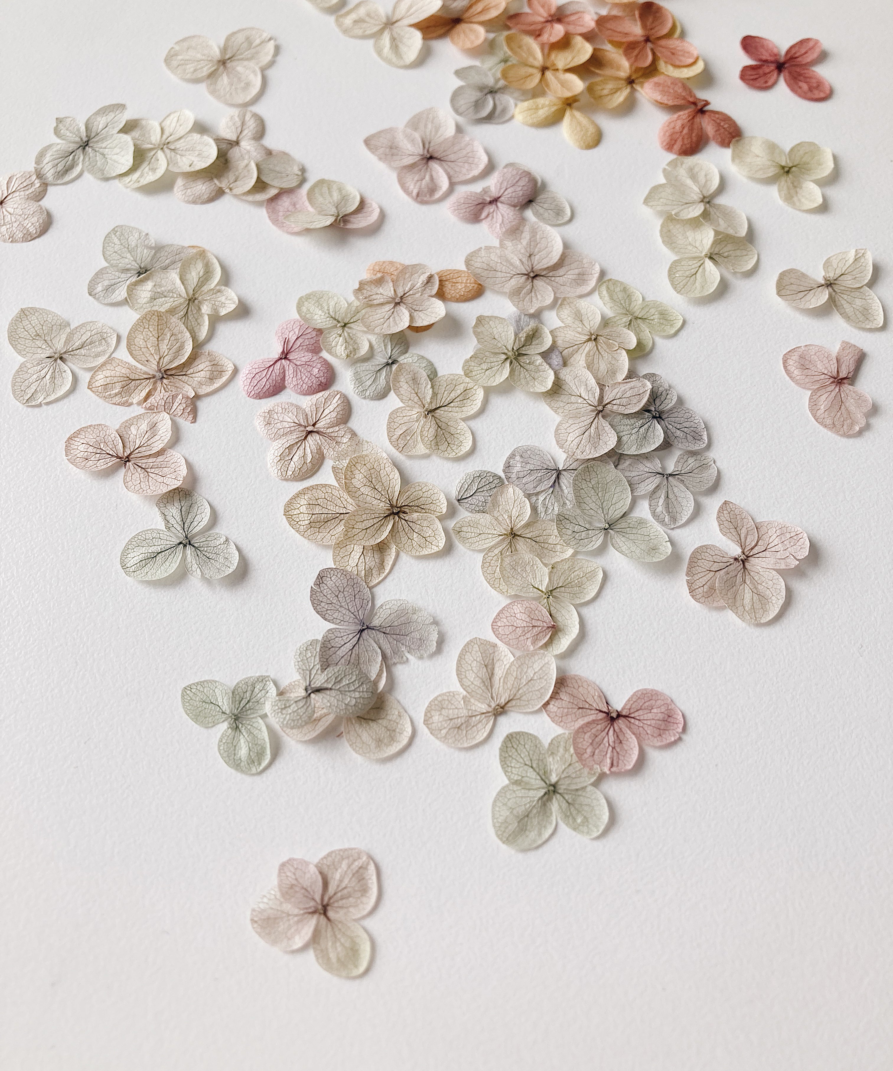 RECYCLING FLOWER PLACE CARDS / フラワーロスの席札