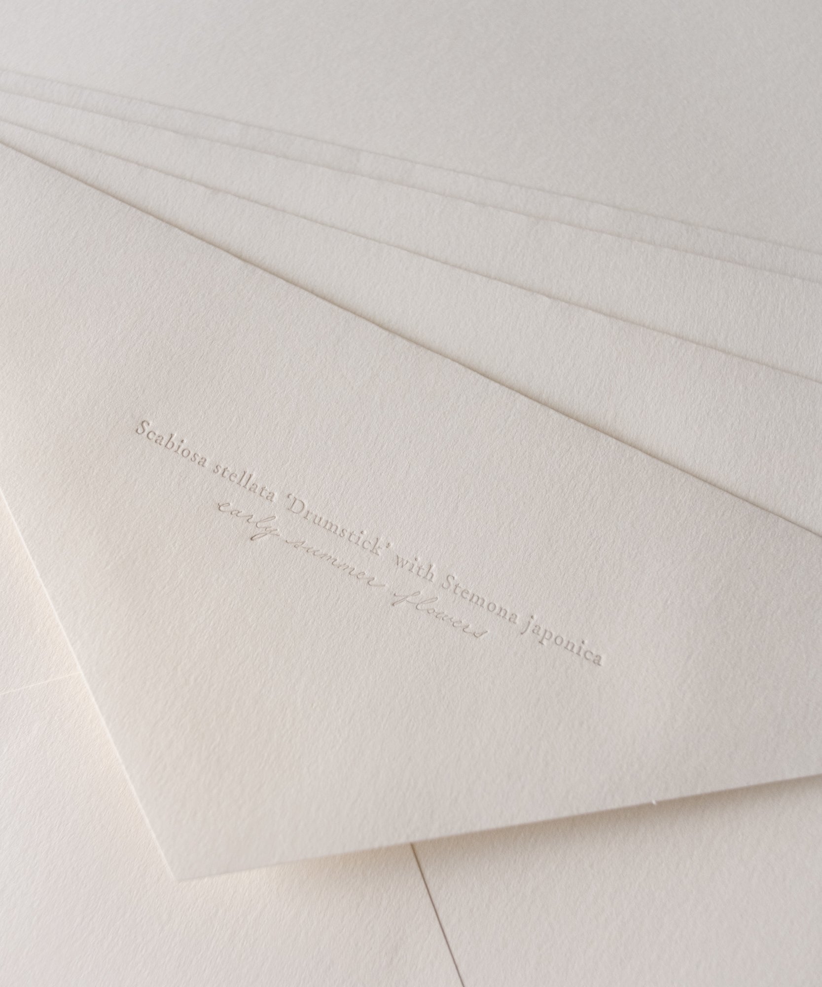 Letter set 'Early Summer Flowers' / 初夏のお花のレターセット