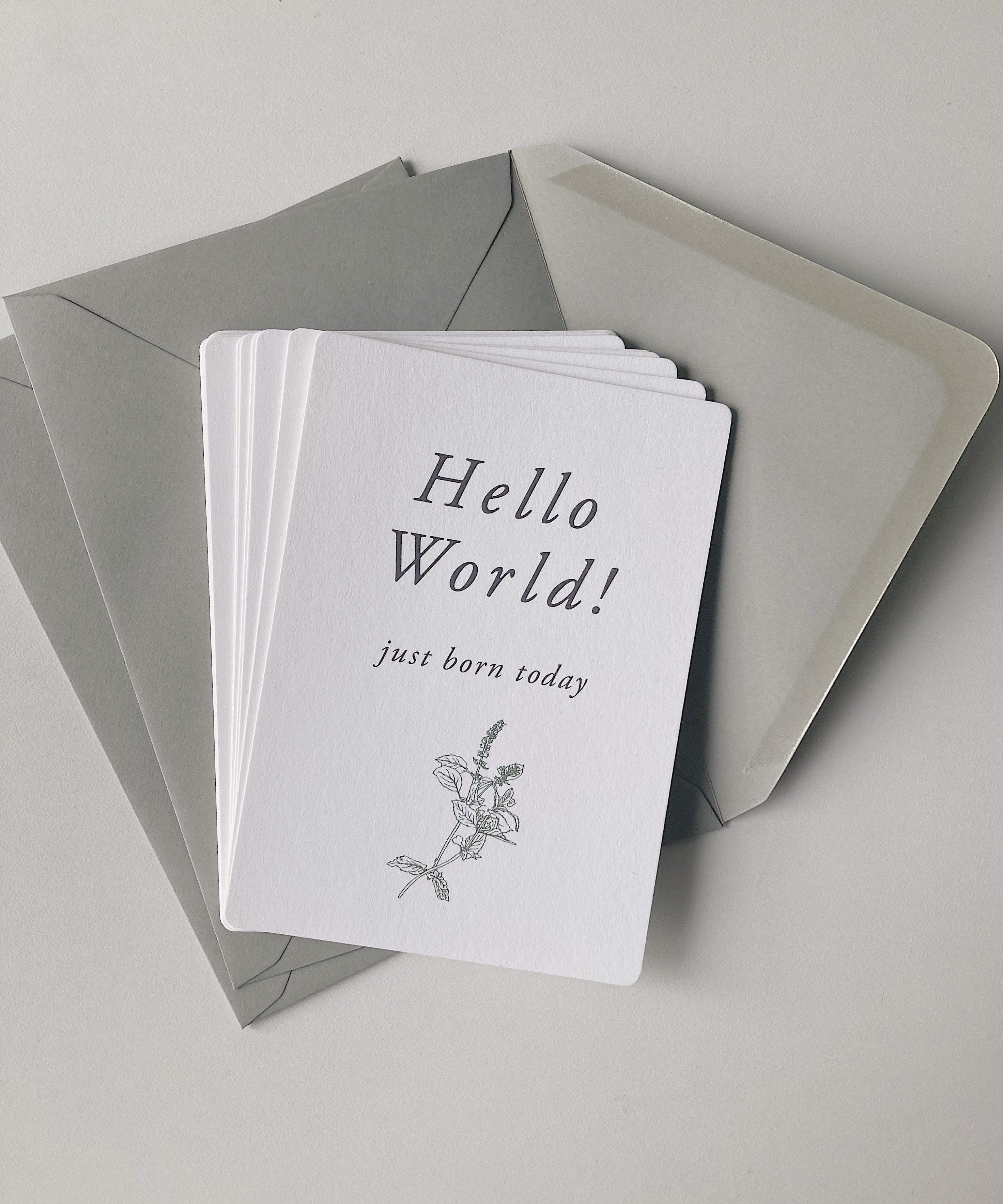 Milestone Card Set / お花とハーブのマンスリーカードセット