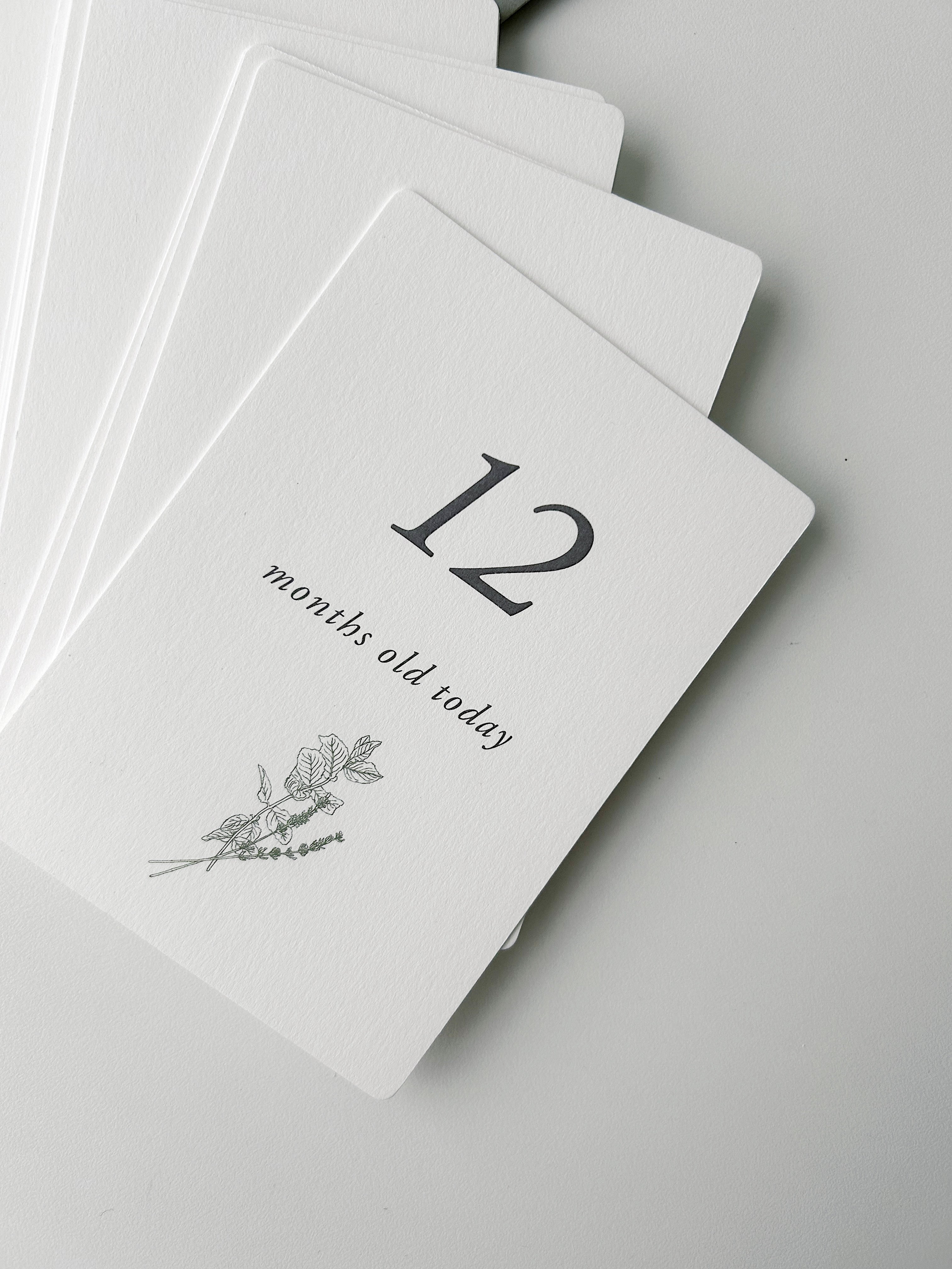 Milestone Card Set / お花とハーブのマンスリーカードセット