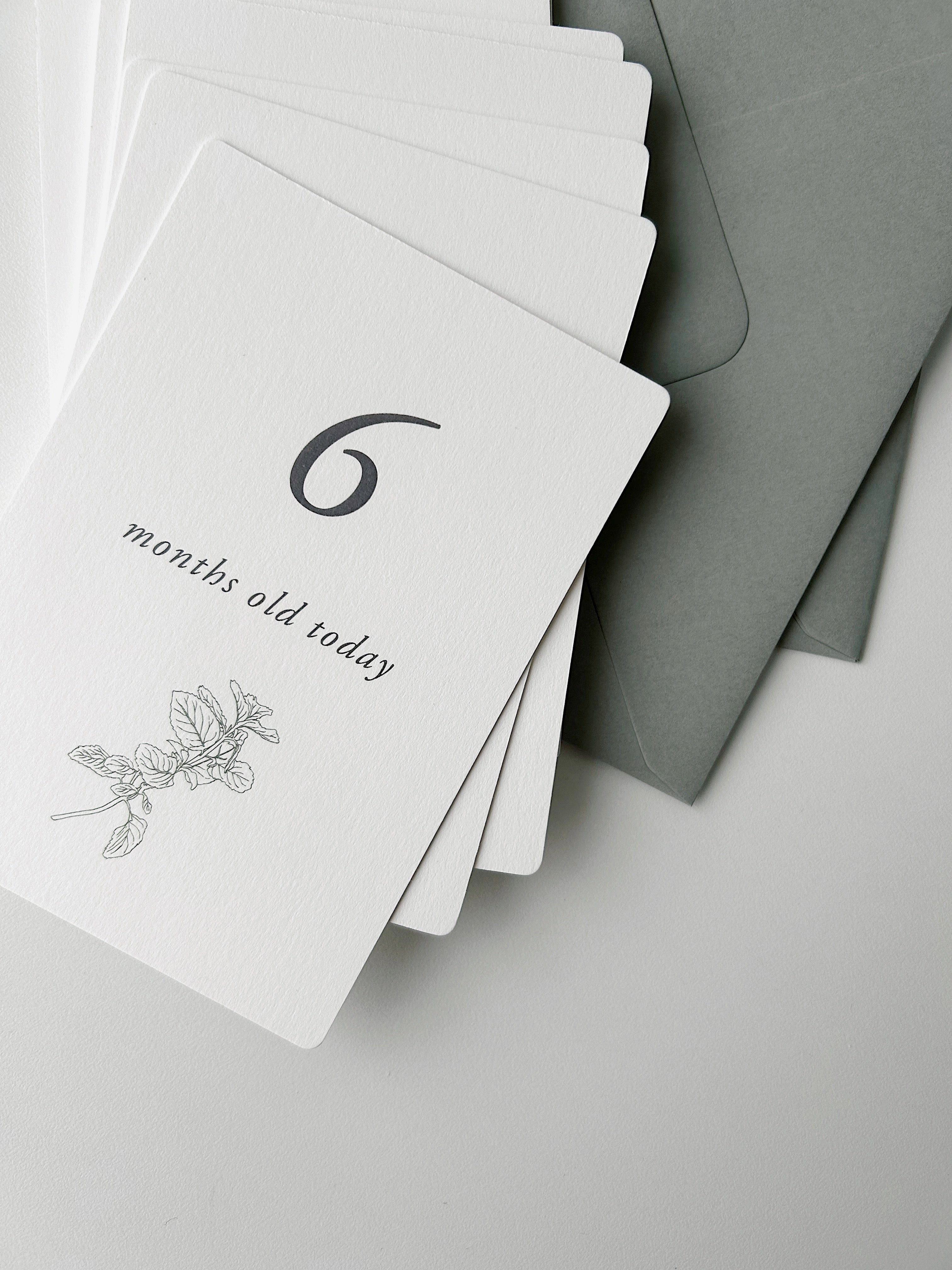 Milestone Card Set / お花とハーブのマンスリーカードセット