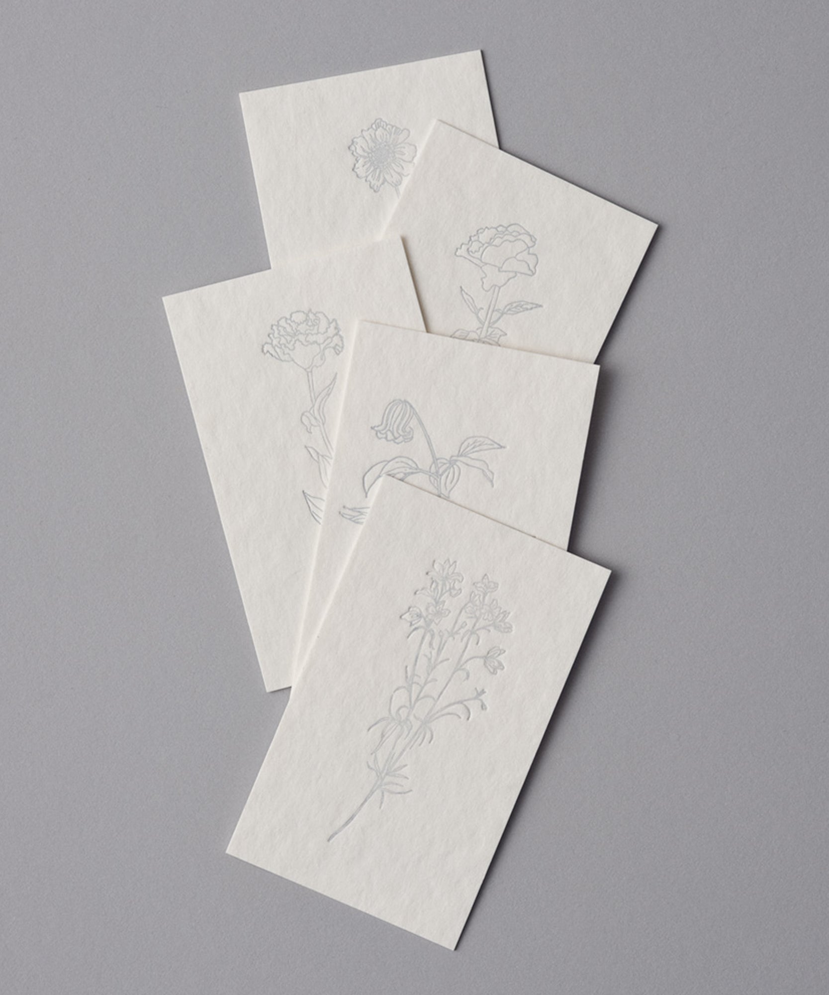 5種類のお花のメッセージカード 10 set