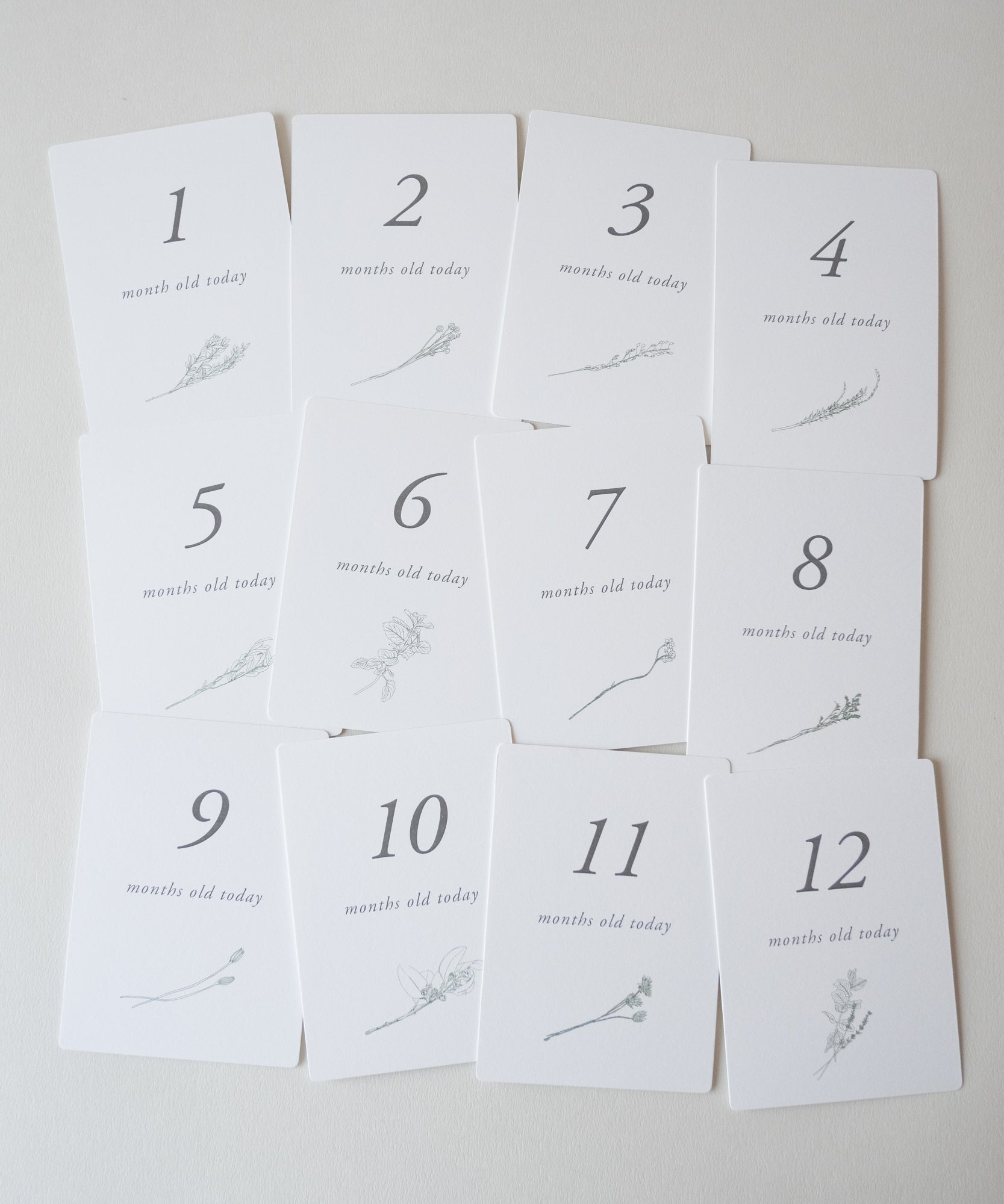 Milestone Card Set / お花とハーブのマンスリーカードセット