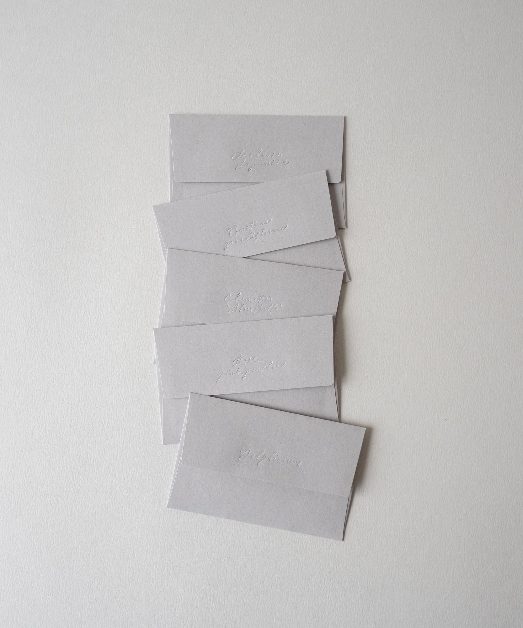 5 Flowers message cards / 5種類のお花のメッセージカード