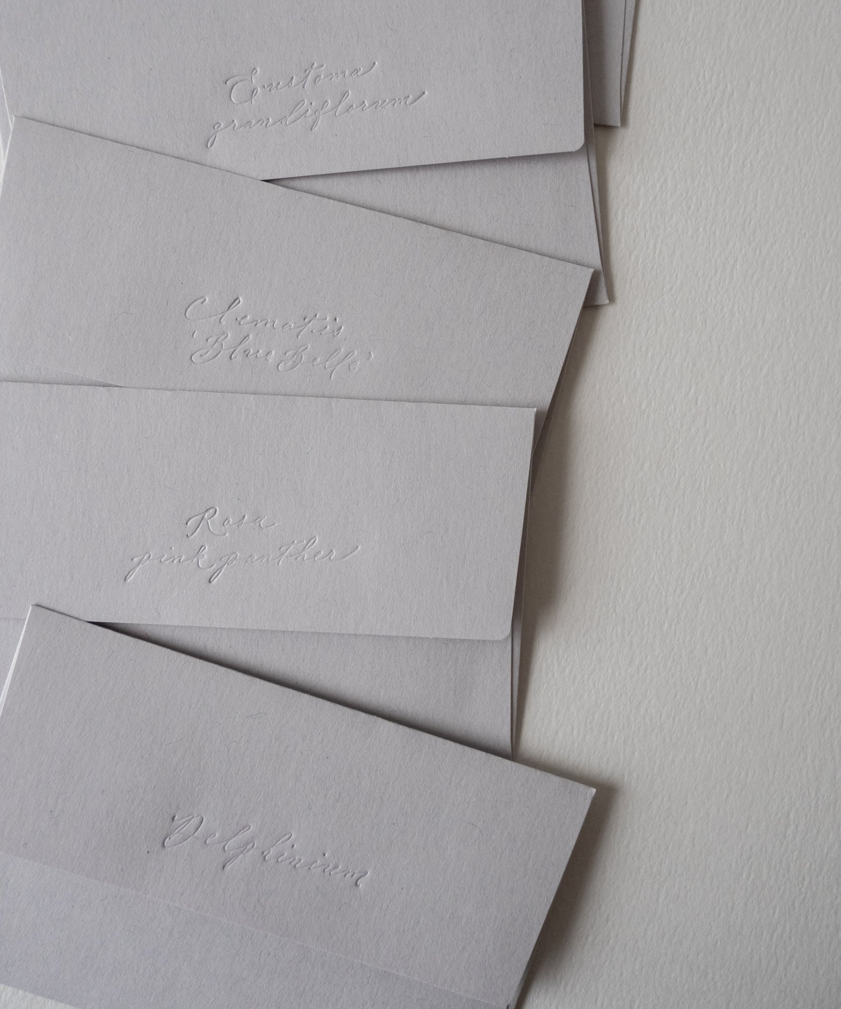 5 Flowers message cards / 5種類のお花のメッセージカード