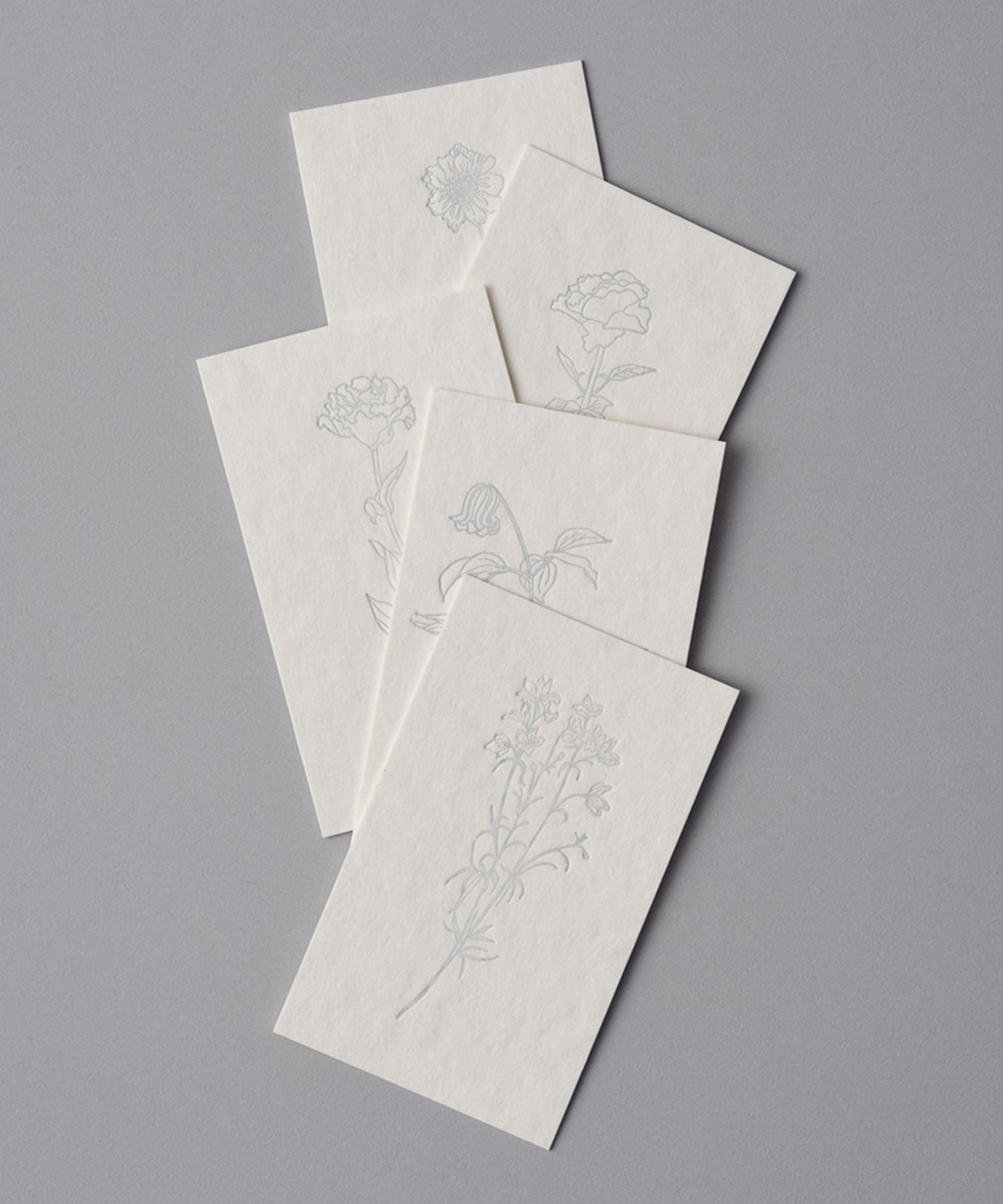  5種類のお花のメッセージカード 10 set